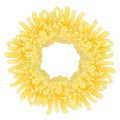 Yellow Chrysanthemum, Kiku Japanese Flower Wreath. Vector Illustration
