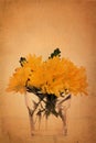 Yellow Chrysanthemum on vintage grunge paper
