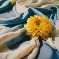 Yellow chrysanthemum on white and blue veil