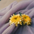 Yellow chrysanthemums on purple veil