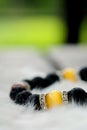 Yellow Chrysoberyl Cat`s Eye stone and Lava stone.Luck fortune stone bracelet with yellow and black tone on white wool background Royalty Free Stock Photo