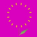 Yellow circle frame of petals on pink background and green leaf. Flat picture