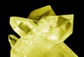 Yellow citrine crystals on black