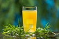 Yellow citrus drink in a glass, surrounded by green tarragon