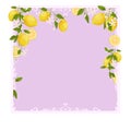 Yellow citrus fruit vintage frame. Lemon, leaves and flowers. Tropical clip art illustration. Green background. Royalty Free Stock Photo