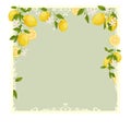 Yellow citrus tropical fruits.Vintage green  frame.  Lemon, leaves and flowers. Tropical clip art illustration. Green background. Royalty Free Stock Photo