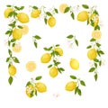 Yellow citrus fruit vintage frame. Lemon, leaves and flowers. Tropical clip art illustration. Green background. Royalty Free Stock Photo