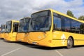 Yellow City Buses Royalty Free Stock Photo