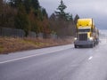 Yellow classic big rig semi truck running on the raining highway