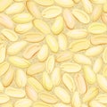 Yellow clear roasted peanuts seamless