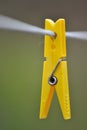 Yellow clothespin hang on a cord