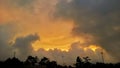 yellow cloudy sky with trees silluate in the evening Royalty Free Stock Photo