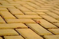 Yellow cobblestones and dried leaf Royalty Free Stock Photo