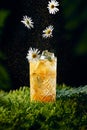 Yellow cocktail filled with ice surrounded by golden glitter and flowers Royalty Free Stock Photo