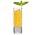 Yellow cocktail in tall glass isolated on white background