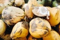 Yellow coconuts are sold in the market of the island of Mauritius. Cut a young coconut with Makoto. Many coconuts on the market Royalty Free Stock Photo