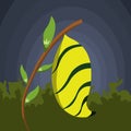 The yellow cocoon