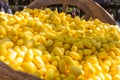 Yellow cocoon is raw material of sericulture for Thai silk Royalty Free Stock Photo