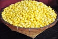 Yellow cocoons of silkworm for making silk Royalty Free Stock Photo