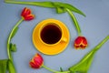 yellow coffee cup and red tulips layout on pastel blue background Royalty Free Stock Photo