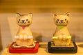 Yellow color cute wood cat toy display on table