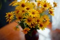 Yellow color flower macro horisontal orientation