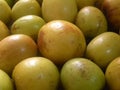 Indian plum fruits Royalty Free Stock Photo