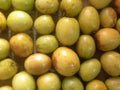 Indian jujube fruits