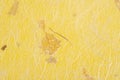 The Yellow color mulberry paper texture background in close-up Royalty Free Stock Photo