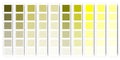 Yellow color palette. Yellow pastel tone texture. Vector illustration. stock image. Royalty Free Stock Photo