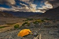 Yellow color tent being set up by trekkers for night stay in ladakh