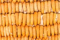 The yellow color wall made from corn Royalty Free Stock Photo
