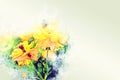 Yellow colorful shape flower blooming watercolor illustration painting background.