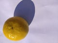 Yellow coloured lemon on white background.