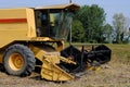 Yellow combine harvester