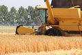 A yellow combine harvester closeup is harvesting golden wheat in summer