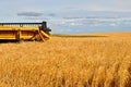 Yellow Combine in a Wheat Field