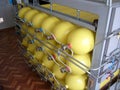 Yellow compressed natural gas cylinders Royalty Free Stock Photo