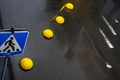 Yellow concrete hemispheres on wet asphalt with a blue road sign in the foreground.