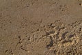 Yellow concrete wall background texture under the sun