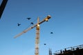 Yellow construction crane and black outlines of flying birds on the background of construction and bright blue sky at sunset. Royalty Free Stock Photo