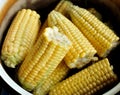 Yellow Corn