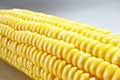 Yellow Corn Royalty Free Stock Photo