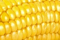 A yellow corn background, macro Royalty Free Stock Photo