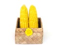 Yellow corn in the box weave.