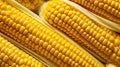 yellow corn close up Royalty Free Stock Photo