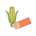 Yellow corn cob with leaves in human hand on white background. Organic vegetable for eating. Flat illustration on white background Royalty Free Stock Photo