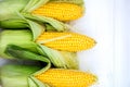 Yellow Corn Cobs Closeup on White Background, Top View, Macro Royalty Free Stock Photo