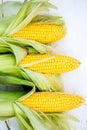 Yellow Corn Cobs Closeup on White Background, Top View, Macro Royalty Free Stock Photo