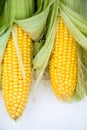 Yellow Corn Cobs Closeup on White Background, Top View, Macro Royalty Free Stock Photo